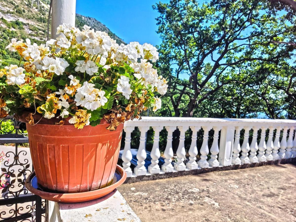 Dubrovnik Moonshine Apartment Млини Екстериор снимка
